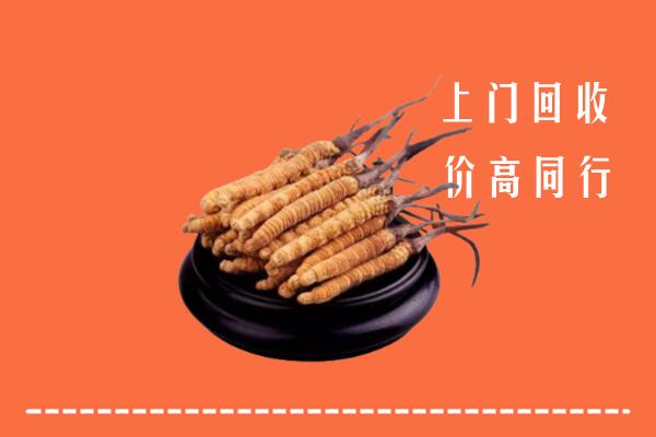高价求购：阿里地区普兰回收散虫草
