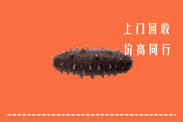 高价求购：阿里地区普兰回收海参