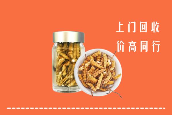 阿里地区普兰回收冬虫夏草