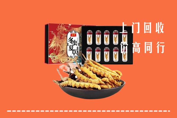 阿里地区普兰回收虫草
